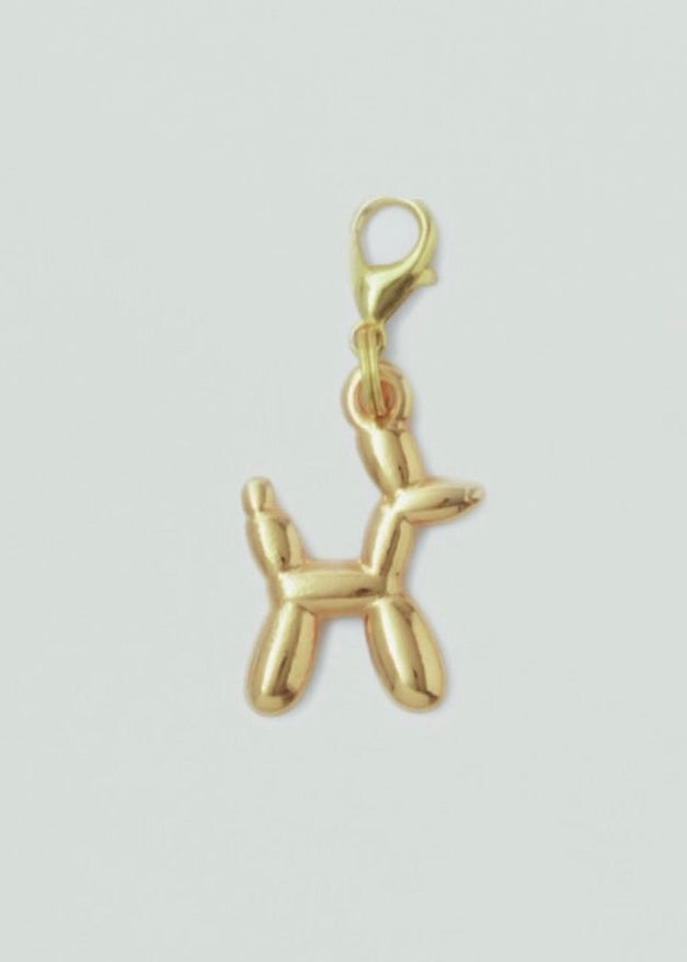 Charm perro