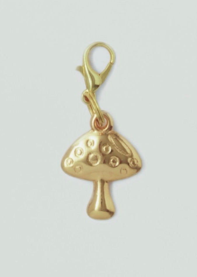 Charm hongo