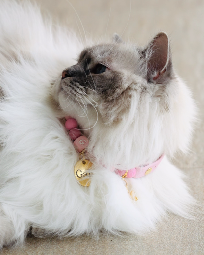 Signature Collar Gato Rosado