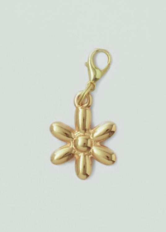Charm flor
