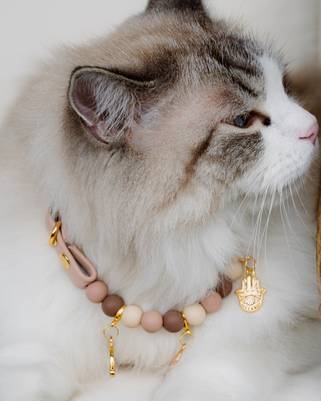 Signature Collar Gato Nude