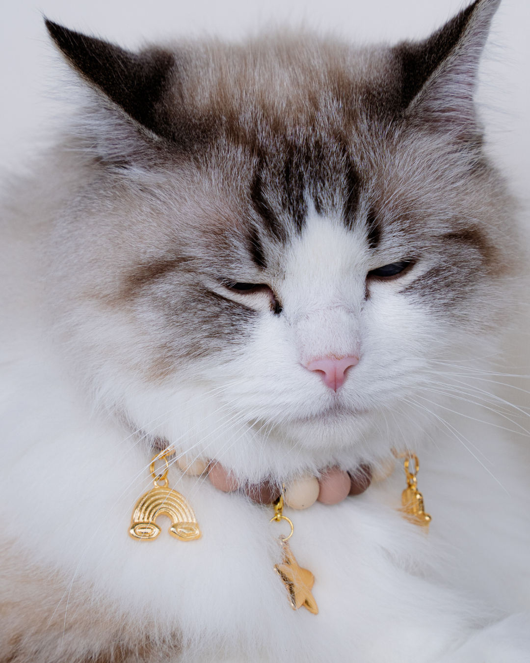 Signature Collar Gato Nude
