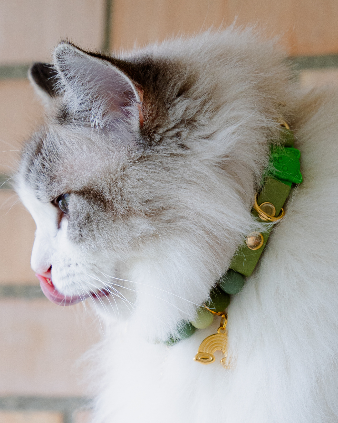 Signature Collar Gato Verde