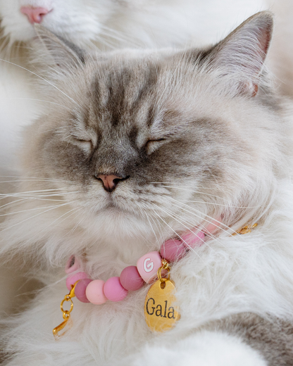 Signature Collar Gato Rosado