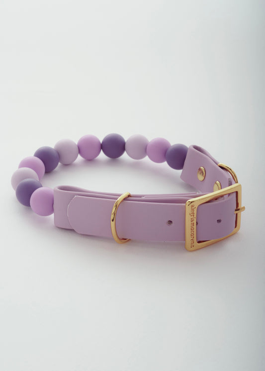 Signature Collar Lila