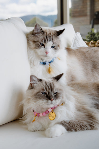 Signature Collar Gato Nude