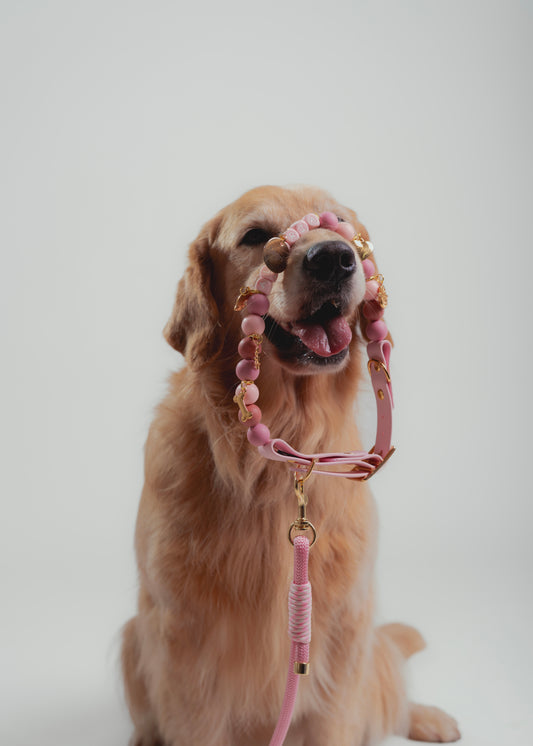 Signature Set rosado