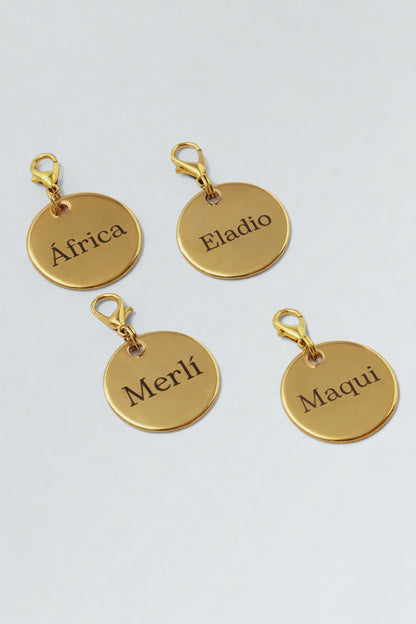 Placa de identificación